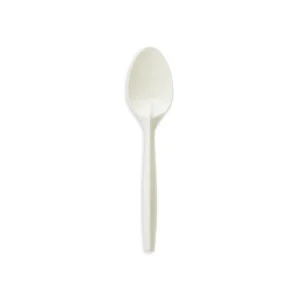 Plastic Spoon