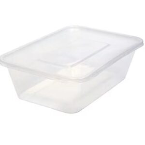 Plastic Takeaway Box 10pcs